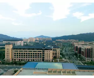 University of Macau